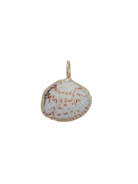 Small Scallop Shell Charm