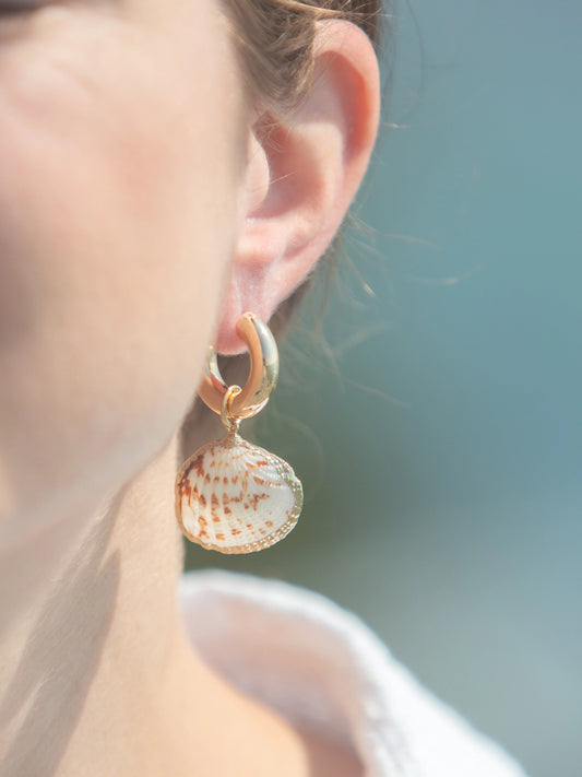 Small Scallop Shell Charm