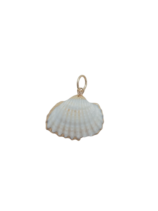 Small Scallop Shell Charm