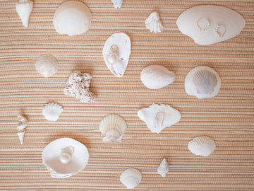 THE RESORT COLLECTION