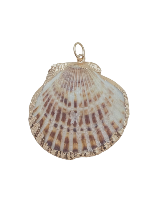 Large Scallop Shell Charm