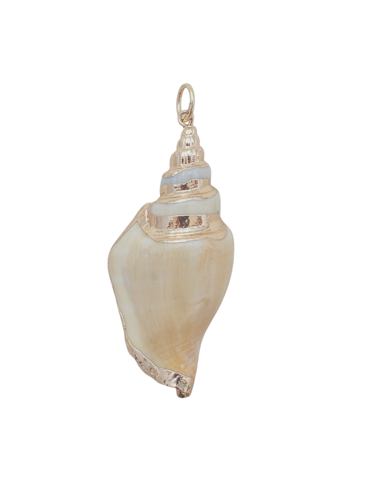 Large Spiral Shell Charm