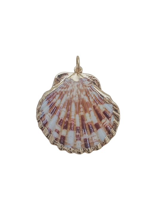 Medium Scallop Shell Charm