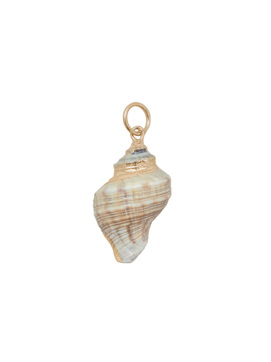 Medium Spiral Shell Charm